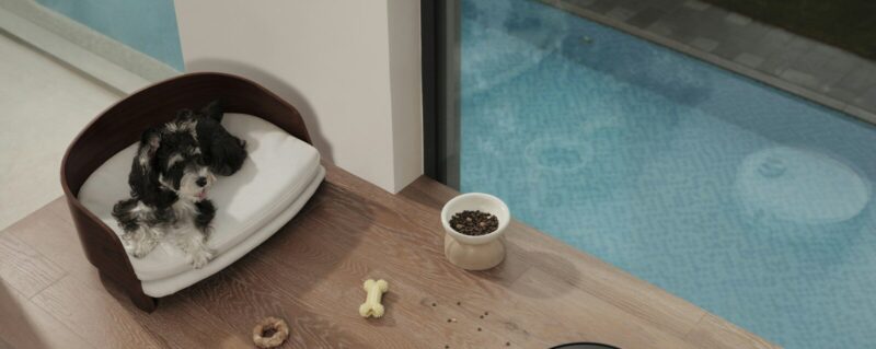 Robot vacuum cleaning a wooden floor near a dog bed